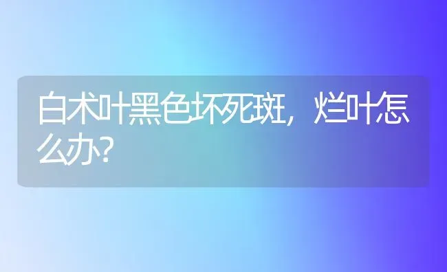 白术叶黑色坏死斑,烂叶怎么办? | 养殖技术大全