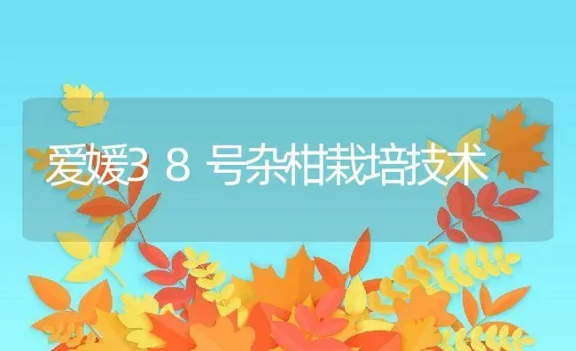 爱媛38号杂柑栽培技术 | 养殖学堂