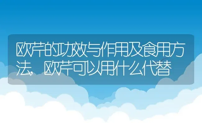 欧芹的功效与作用及食用方法,欧芹可以用什么代替 | 养殖学堂