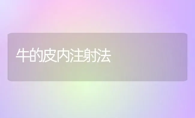 牛的皮内注射法 | 养殖知识