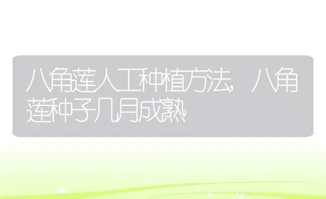 16朵玫瑰花语代表什么意思,16朵花的花语是什么 | 养殖学堂