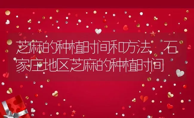 芝麻的种植时间和方法,石家庄地区芝麻的种植时间 | 养殖学堂