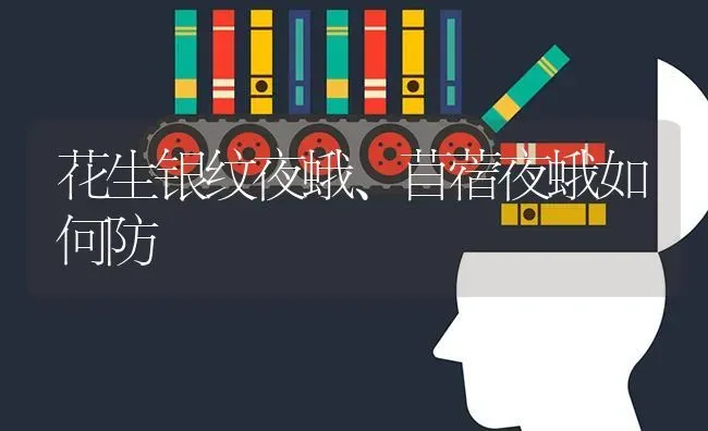 花生银纹夜蛾、苜蓿夜蛾如何防 | 养殖技术大全