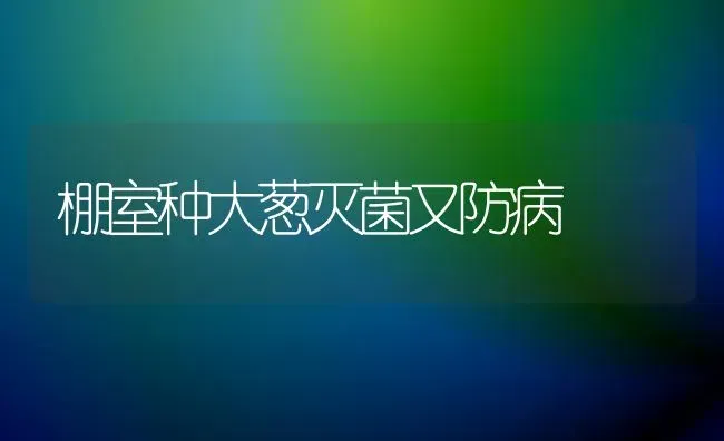 棚室种大葱灭菌又防病 | 养殖知识