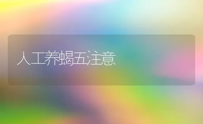 人工养蝎五注意 | 养殖技术大全