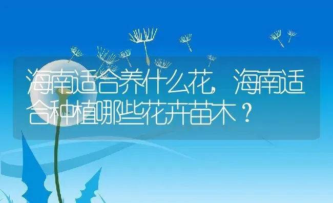 海南适合养什么花,海南适合种植哪些花卉苗木？ | 养殖科普