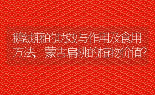 鹅绒藤的功效与作用及食用方法,蒙古扁桃的植物价值？ | 养殖科普