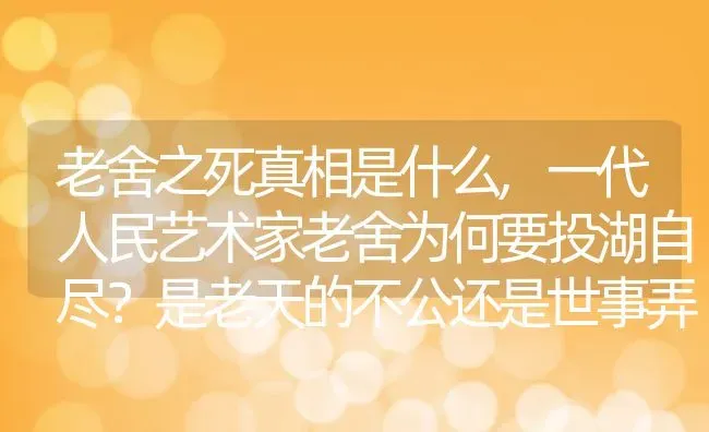 老舍之死真相是什么,一代人民艺术家老舍为何要投湖自尽？是老天的不公还是世事弄人 | 养殖学堂