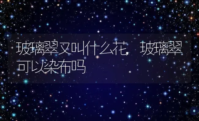 玻璃翠又叫什么花,玻璃翠可以染布吗 | 养殖学堂