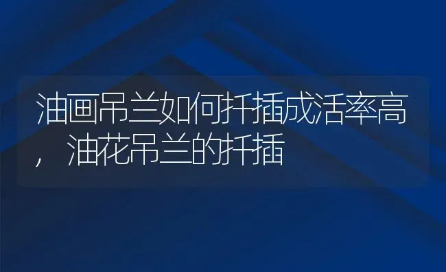油画吊兰如何扦插成活率高,油花吊兰的扦插 | 养殖学堂