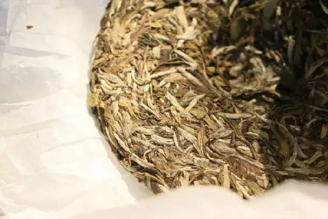 白茶怎么选择好坏,白茶的价格和品质是怎么划分的？