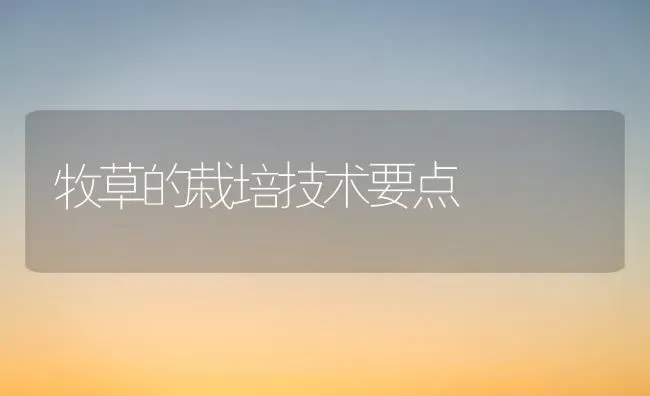 牧草的栽培技术要点 | 养殖技术大全