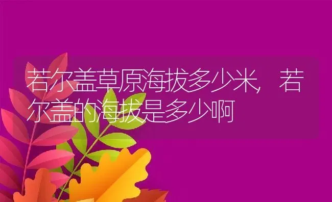 若尔盖草原海拔多少米,若尔盖的海拔是多少啊 | 养殖学堂
