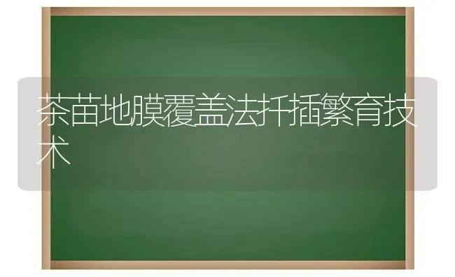 茶苗地膜覆盖法扦插繁育技术 | 养殖知识