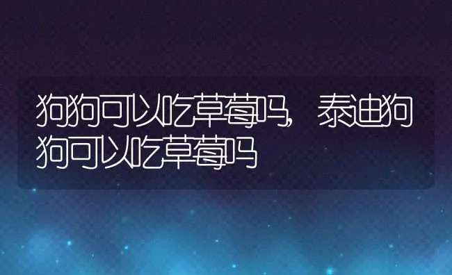狗狗可以吃草莓吗,泰迪狗狗可以吃草莓吗 | 养殖学堂