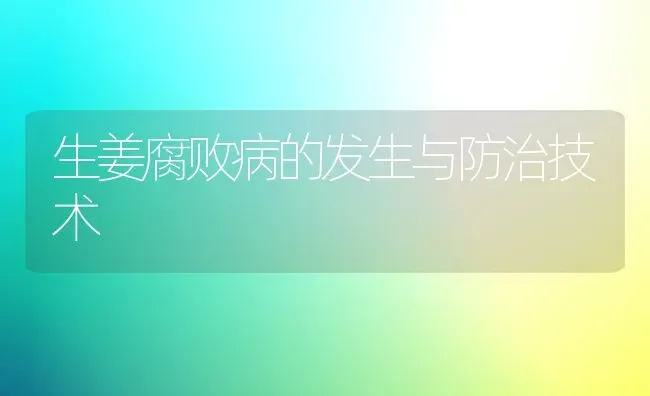 生姜腐败病的发生与防治技术 | 养殖技术大全