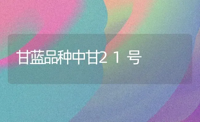 甘蓝品种中甘21号 | 养殖技术大全