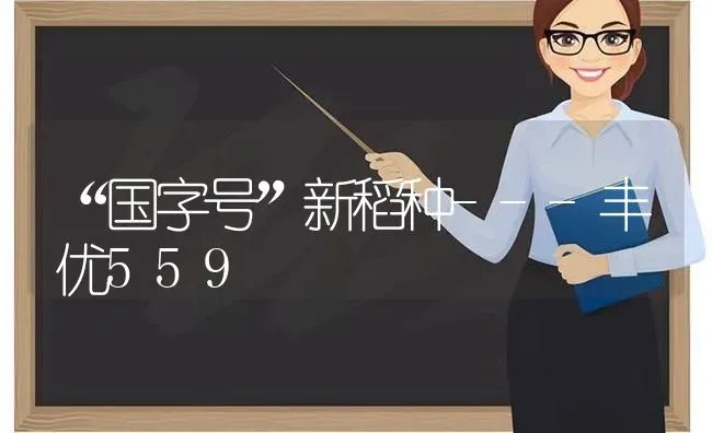 “国字号”新稻种---丰优559 | 养殖技术大全