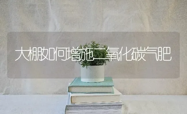 大棚如何增施二氧化碳气肥 | 养殖技术大全