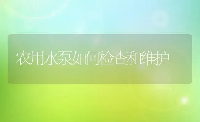 农用水泵如何检查和维护 | 养殖技术大全