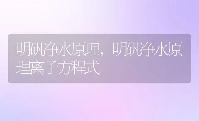 明矾净水原理,明矾净水原理离子方程式 | 养殖科普