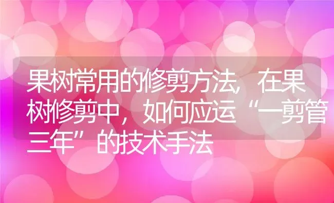 果树常用的修剪方法,在果树修剪中，如何应运“一剪管三年”的技术手法 | 养殖学堂
