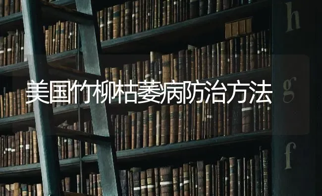 美国竹柳枯萎病防治方法 | 养殖知识