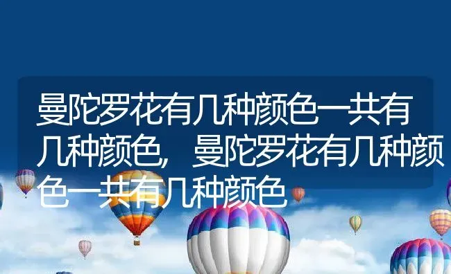 曼陀罗花有几种颜色一共有几种颜色,曼陀罗花有几种颜色一共有几种颜色 | 养殖科普