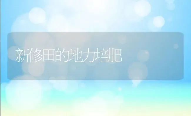 新修田的地力培肥 | 养殖技术大全