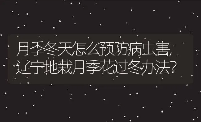 月季冬天怎么预防病虫害,辽宁地栽月季花过冬办法？ | 养殖科普