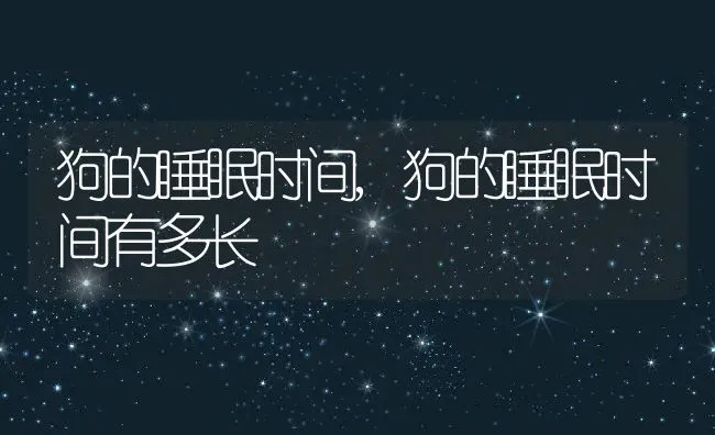 狗的睡眠时间,狗的睡眠时间有多长 | 养殖科普