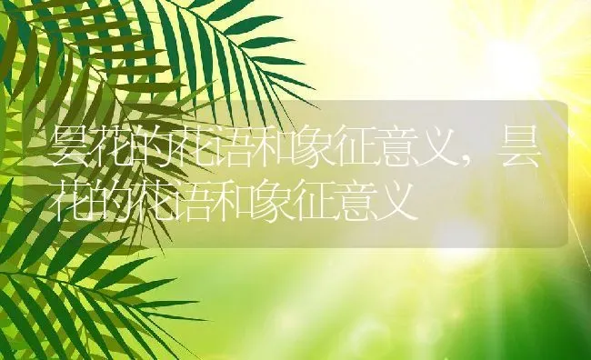 昙花的花语和象征意义,昙花的花语和象征意义 | 养殖科普