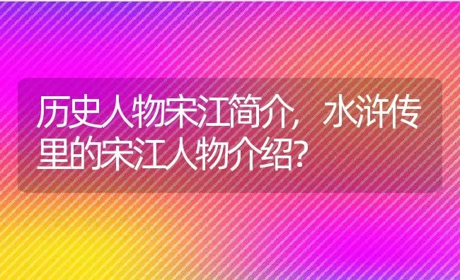 洋荷可以生吃吗,为什么有的洋荷姜只有茎？ | 养殖科普