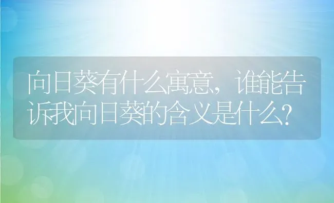 向日葵有什么寓意,谁能告诉我向日葵的含义是什么？ | 养殖科普