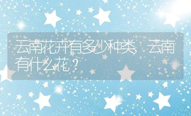 云南花卉有多少种类,云南有什么花？ | 养殖科普