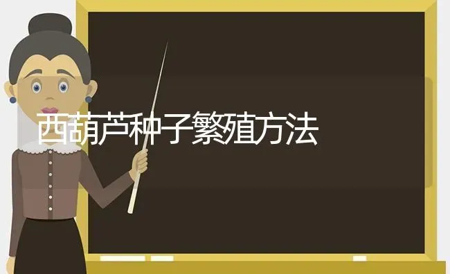 西葫芦种子繁殖方法 | 养殖技术大全