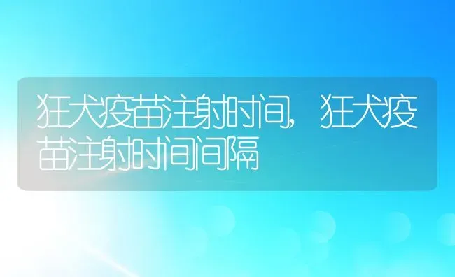 狂犬疫苗注射时间,狂犬疫苗注射时间间隔 | 养殖科普