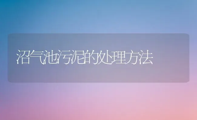 沼气池污泥的处理方法 | 养殖技术大全