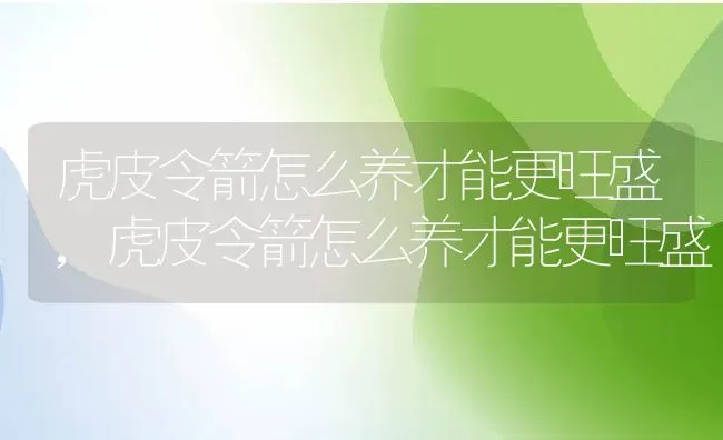 虎皮令箭怎么养才能更旺盛,虎皮令箭怎么养才能更旺盛 | 养殖科普