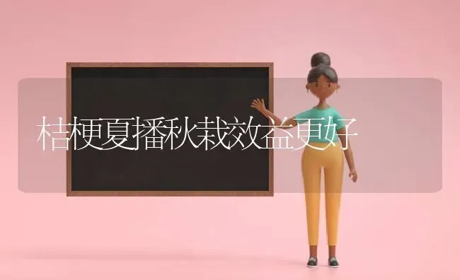 桔梗夏播秋栽效益更好 | 养殖技术大全