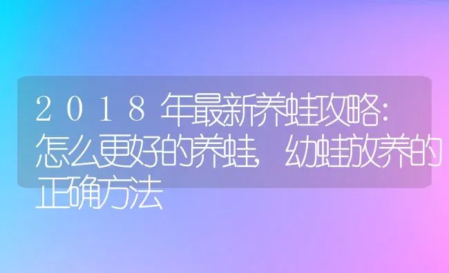 2018年最新养蛙攻略:怎么更好的养蛙,幼蛙放养的正确方法 | 养殖学堂