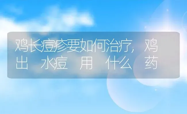 鸡长痘疹要如何治疗,鸡 出 水痘 用 什么 药 | 养殖学堂