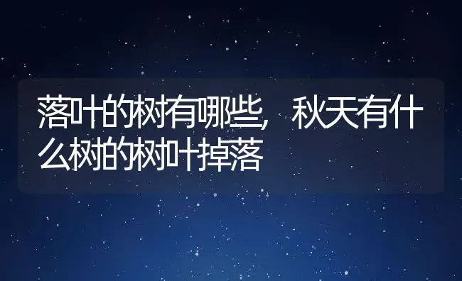 落叶的树有哪些,秋天有什么树的树叶掉落 | 养殖学堂