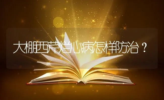 大棚西芹烂心病怎样防治? | 养殖知识