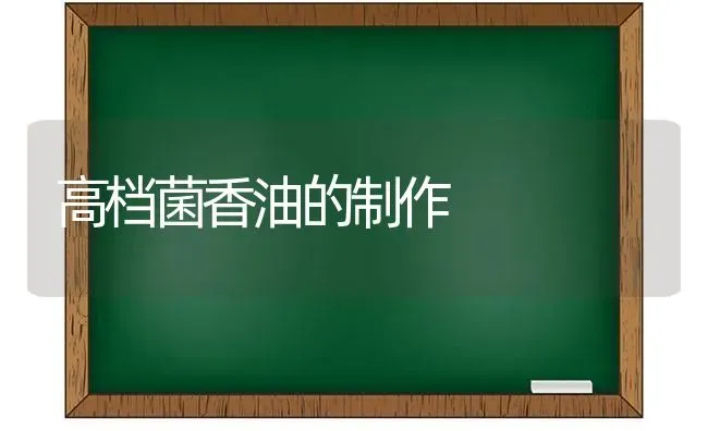 高档菌香油的制作 | 养殖技术大全