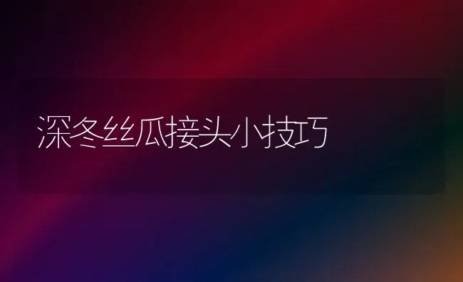 深冬丝瓜接头小技巧 | 养殖知识