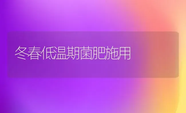 冬春低温期菌肥施用 | 养殖知识