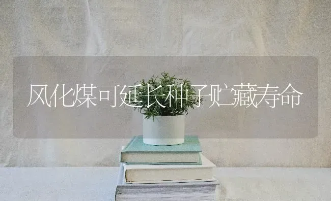 风化煤可延长种子贮藏寿命 | 养殖知识