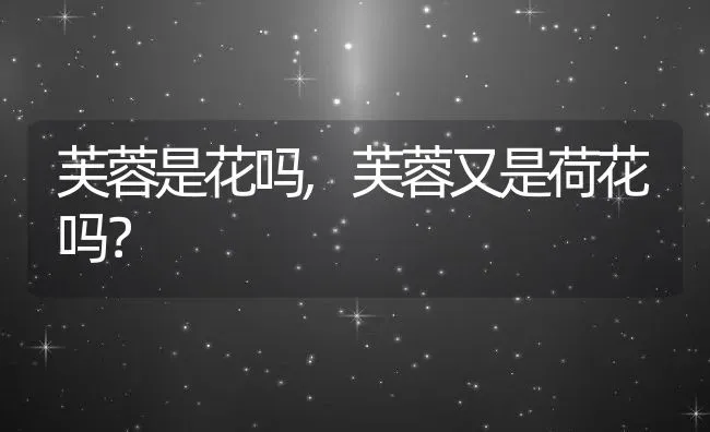 朱蕉的养殖方法和注意事项,朱蕉如何养叶子才会又红又艳？ | 养殖科普