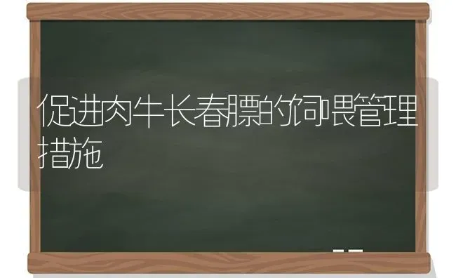 促进肉牛长春膘的饲喂管理措施 | 养殖知识